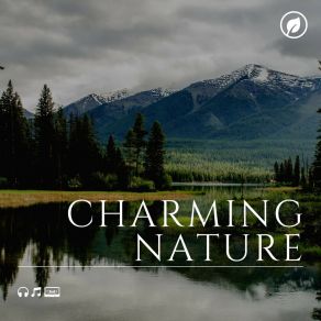 Download track Giggle Nature Soundscapes