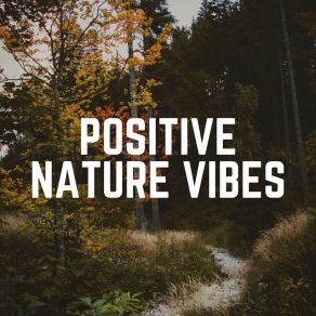 Download track Peace And Quiet Nature Nature Soundscapes