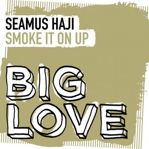 Download track Smoke It On Up (Extended Mix) SEAMUS HAJI