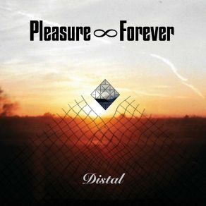 Download track A Heavy Involvement In Unreality Pleasure Forever