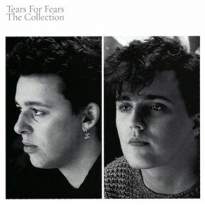 Download track Brian Wilson Said Tears For Fears