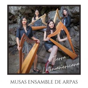 Download track El Cascabel (En Vivo) Musas Ensamble De Arpas