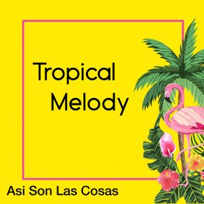 Download track Asi Son Las Cosas Tropical Melody