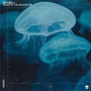 Download track Order Of The Universe Beyond (DE)