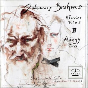 Download track Piano Trio No. 1 In B Major, Op. 8 (1889 Version): I. Allegro Con Brio Abegg Trio