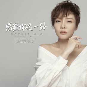 Download track 感谢你这一路 (伴奏) 魏佳艺