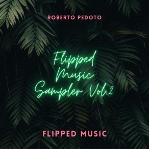 Download track Music Is Fun Roberto Pedoto