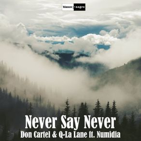 Download track Never Say Never (Acoustic Version) Q-LaLane