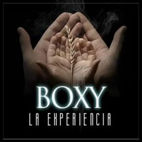 Download track La Experiencia Boxy