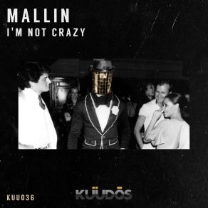 Download track I'm Not Crazy (Radio Edit) Mallin