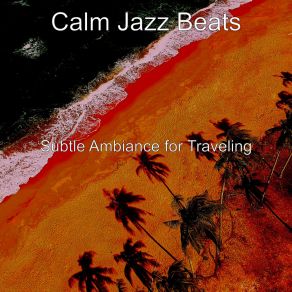 Download track Background For Summer Travels Calm Jazz Beats