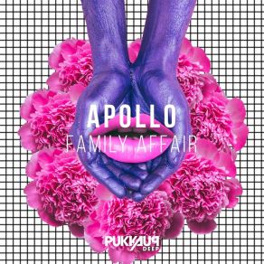 Download track Family Affair (Tempo Elektrik Extended Mix) Apollo