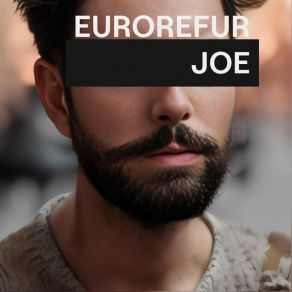 Download track Joe (EuroFire Remix) EuroRefur