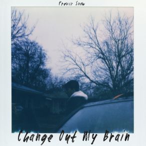 Download track Change Out My Brain Trevor Snow