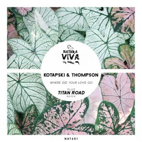 Download track Where Did Your Love Go (Kotapski Edit) Thompson