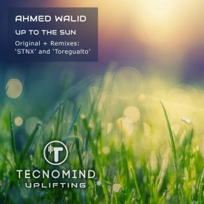 Download track Up To The Sun (Toregualto Radio Edit) Walid AhmedToregualto