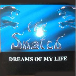 Download track Dreams Of My Life (Running Airplay Mix) The Snatch