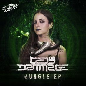 Download track Feeling Hard (Original Mix) Lady Dammage