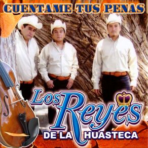 Download track Brindo Por Ella Los Reyes De La Huasteca