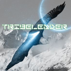 Download track Hit The Sky Tribeleader