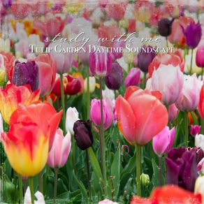 Download track Tulip Garden Daytime Soundscape, Pt. 18 Sebastian Riegl