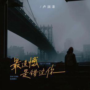 Download track 最遗憾是错过你 (Dj豪大大版伴奏) 卢润泽