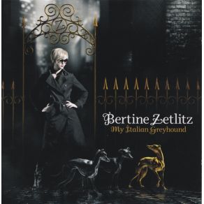 Download track Never Let You Go Bertine Zetlitz