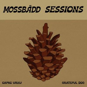 Download track Are You Ready To Go (Capac Urku Remix) Capac Urku, Grateful DogShaolin Wooden Men