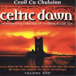 Download track Galway Shawl Ceoil Cu Chulainn