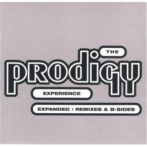 Download track Fire (Sunrise Version) The Prodigy