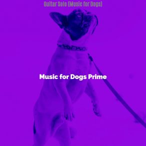 Download track Successful Jazz Guitar Trio - Vibe For Training Dogs Music For Dogs Prime