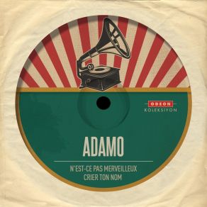 Download track N'est-Ce Pas Merveılleux Salvatore Adamo