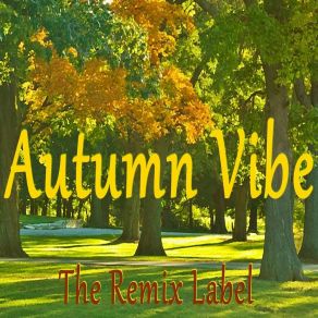 Download track Autumn Vibe (1ST Class + Vibrant Deephouse Mix) Cristian Paduraru