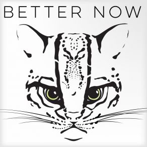 Download track Better Now (Radio Edit) Cubricon