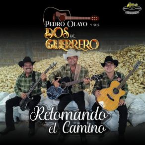 Download track El Florero Sus Dos De Guerrero