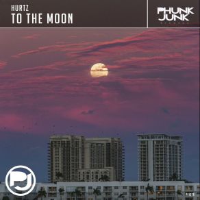 Download track To The Moon (Extended Mix) Hurtz