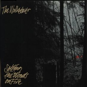 Download track Nightdrive The Walkabouts