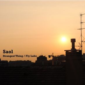 Download track Strangest Thing Saol