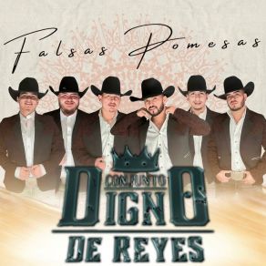 Download track Nadie Va Pensar En Ti Mejor Que Yo (En Vivo) Conjunto Digno De Reyes