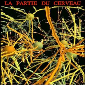 Download track Process La Partie Du Cerveau