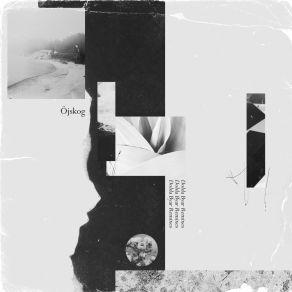 Download track Aatos (Notzing's Dream) ÖjskogNotzing