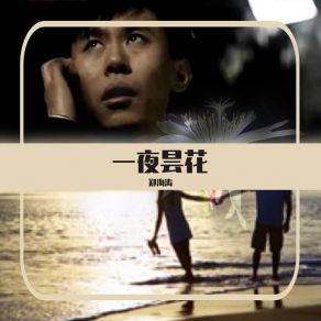 Download track 一夜昙花 (伴奏) 郑海涛