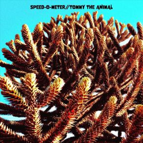 Download track Clown Car Tommy The Animal