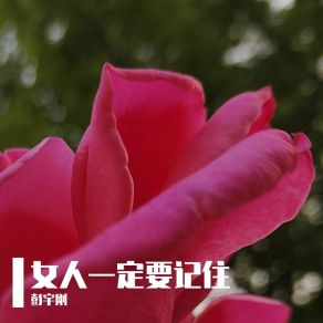 Download track 时间揭穿了多少谎言 彭宇刚