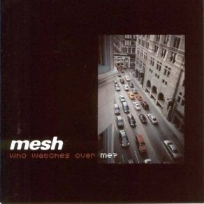 Download track What Does It Cost You?  Mesh