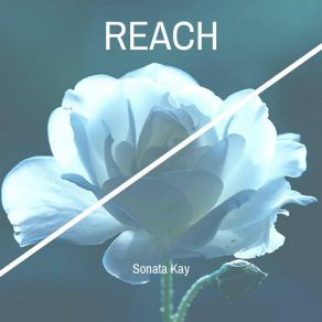 Download track Reach Sonata KayNovo