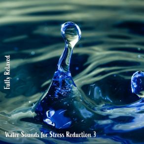 Download track Water Sounds For Stress Reduction, Pt. 2 Steve Brassel