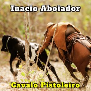 Download track Homenagem De Vaqueiro Inacio Aboiador