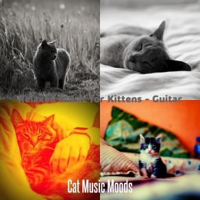 Download track Relaxed Music For Cute Cats Cat Music Moods