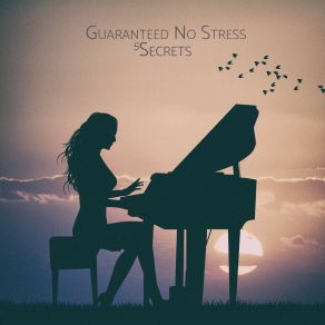 Download track Don't Be Fooled By Sunset 5 Secrets